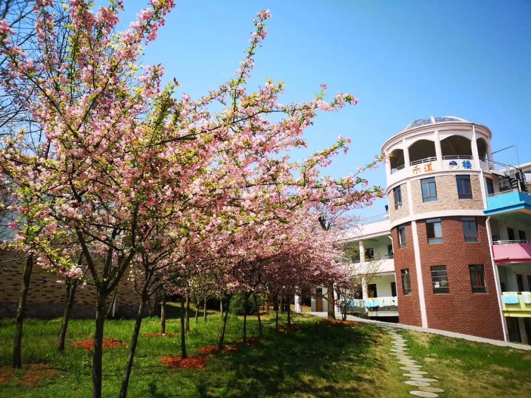 铜都双语学校招生啦!